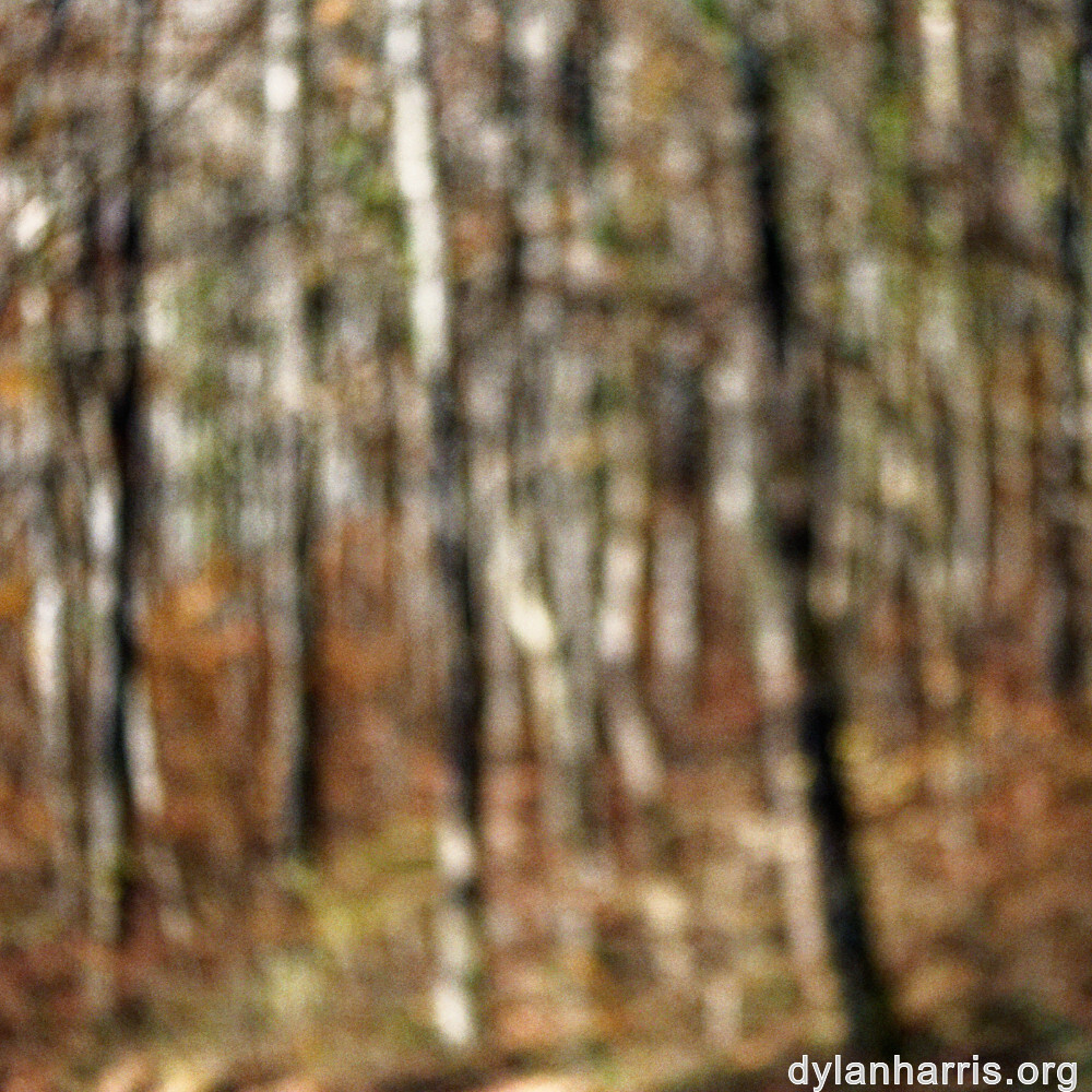 image: This is ‘
terres rouges (xxii) 5
’.