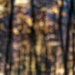 image: Image from the photoset ‘
terres rouges (xxii)
’.