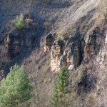 image: to see you again, nice, oh autumn