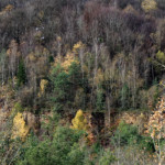 image: Image from the photoset ‘
rumelange (xxviii)
’.