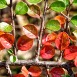 image: Image from the photoset ‘
rumelange (xxix)
’.