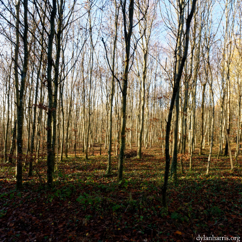 image: This is ‘
terres rouges (xxiii) 5
’.