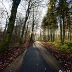 image: Image from the photoset ‘
terres rouges (xxiii)
’.