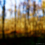 image: Image from the photoset ‘
terres rouges (xxiii)
’.