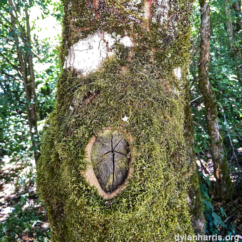 image: This is ‘
untitled (xlv) 2
’.