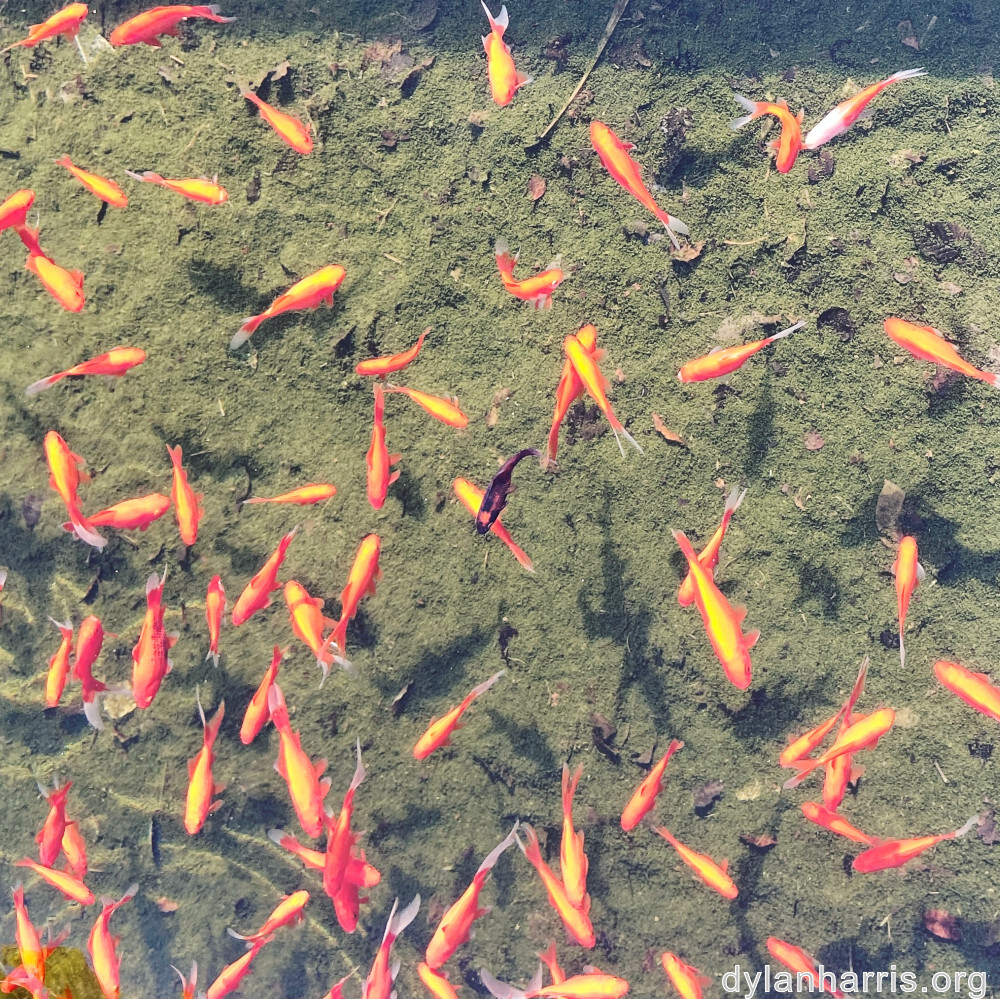 image: This is ‘
untitled (xlv) 5
’.