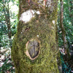 image: Image from the photoset ‘
untitled (xlv)
’.