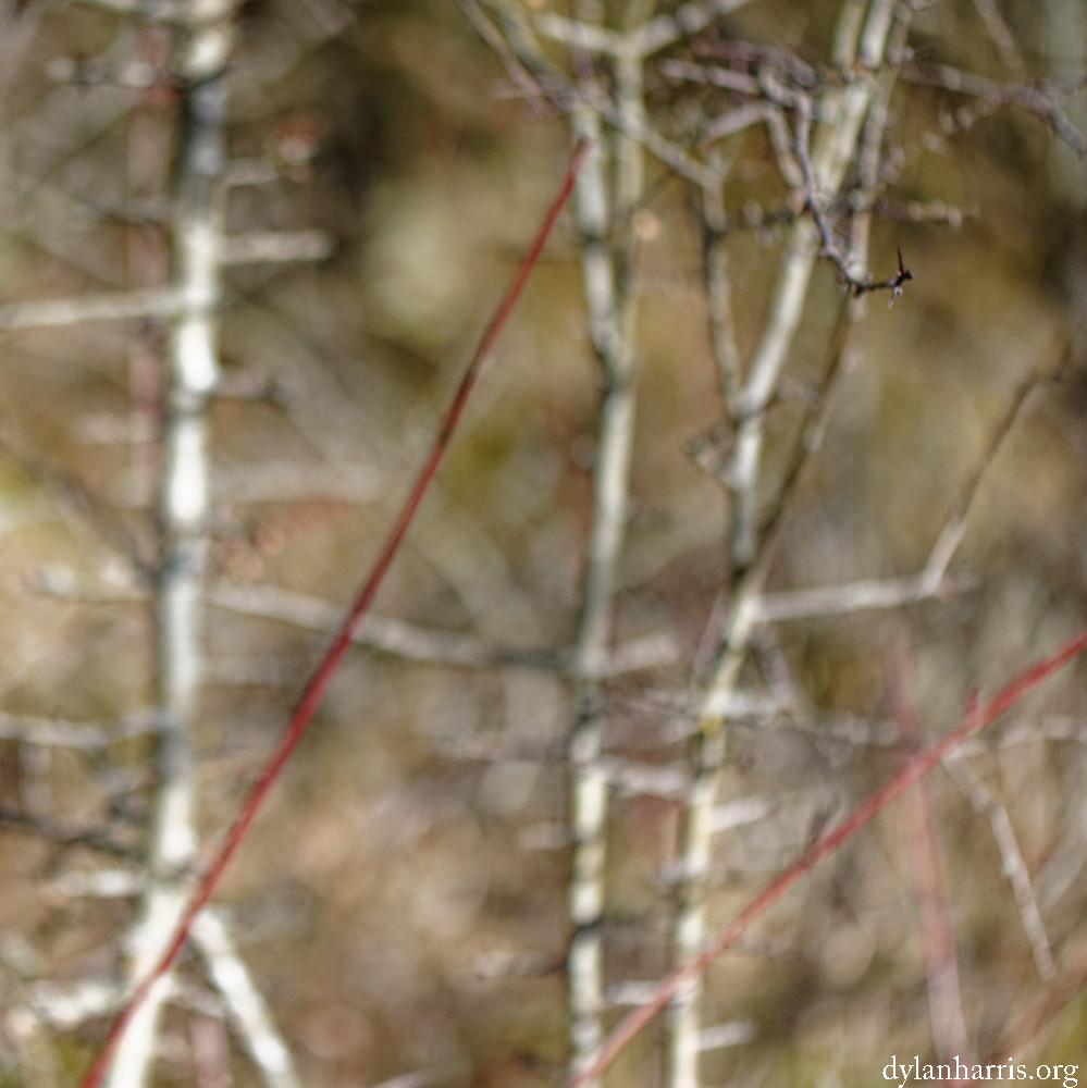 image: This is ‘
rumelange (xxx) 3
’.