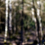 image: Image from the photoset ‘
rumelange (xxx)
’.