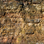 image: Image from the photoset ‘
rumelange (xxx)
’.