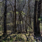 image: Image from the photoset ‘
rumelange (xxx)
’.