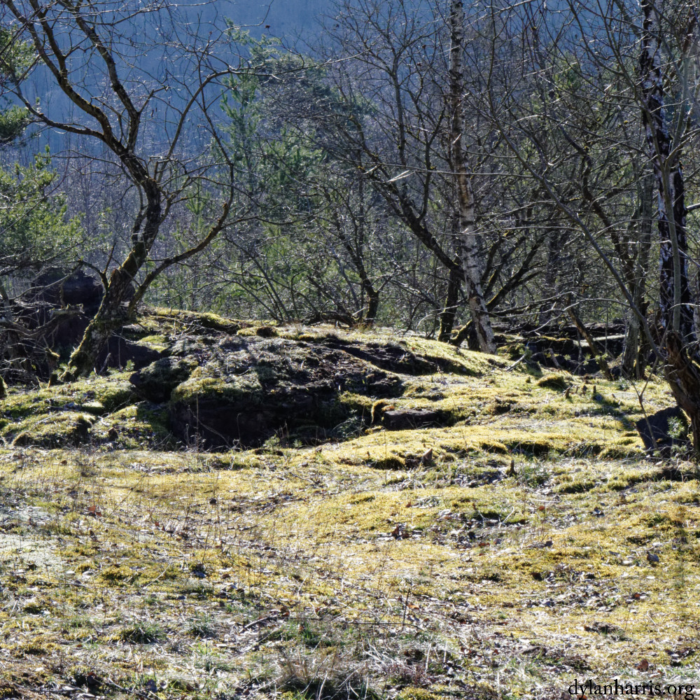 image: This is ‘
rumelange (xxxi) 5
’.