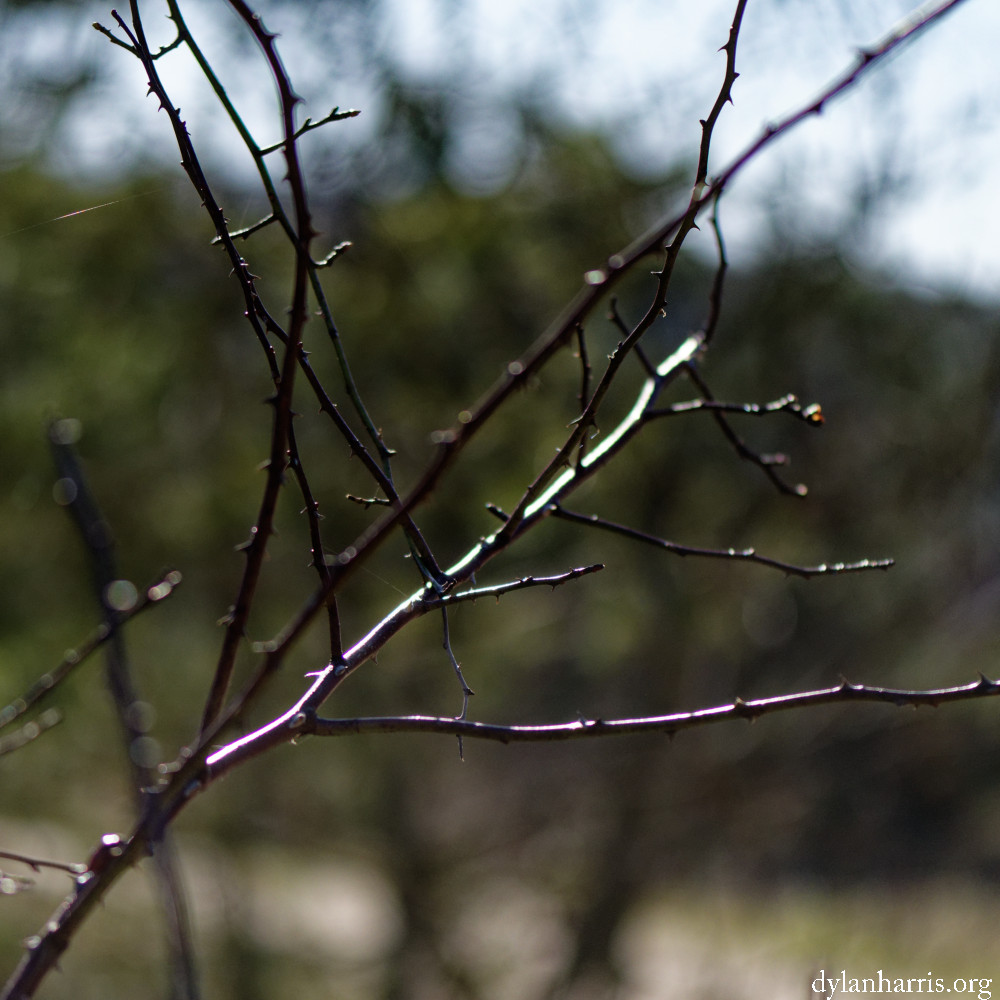 image: This is ‘
rumelange (xxxi) 7
’.