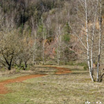 image: Image from the photoset ‘
rumelange (xxxi)
’.