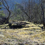 image: Image from the photoset ‘
rumelange (xxxi)
’.