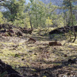 image: Image from the photoset ‘
rumelange (xxxi)
’.