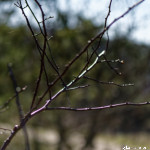 image: Image from the photoset ‘
rumelange (xxxi)
’.