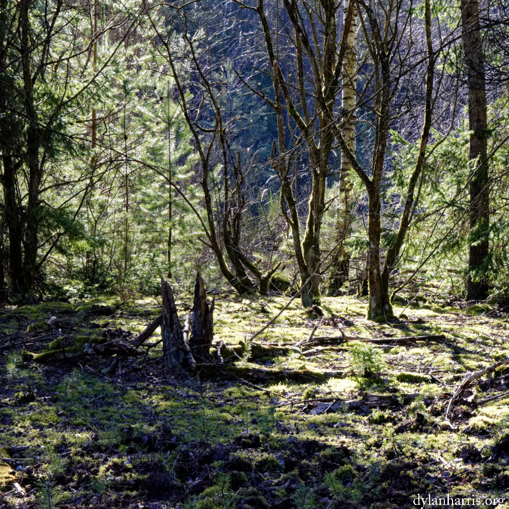 image: This is ‘
rumelange (xxxii) 1
’.