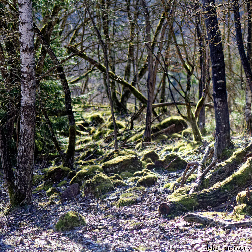 image: This is ‘
rumelange (xxxii) 3
’.