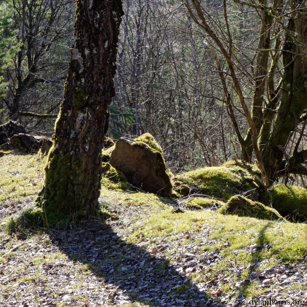 image: This is ‘
rumelange (xxxii) 5
’.