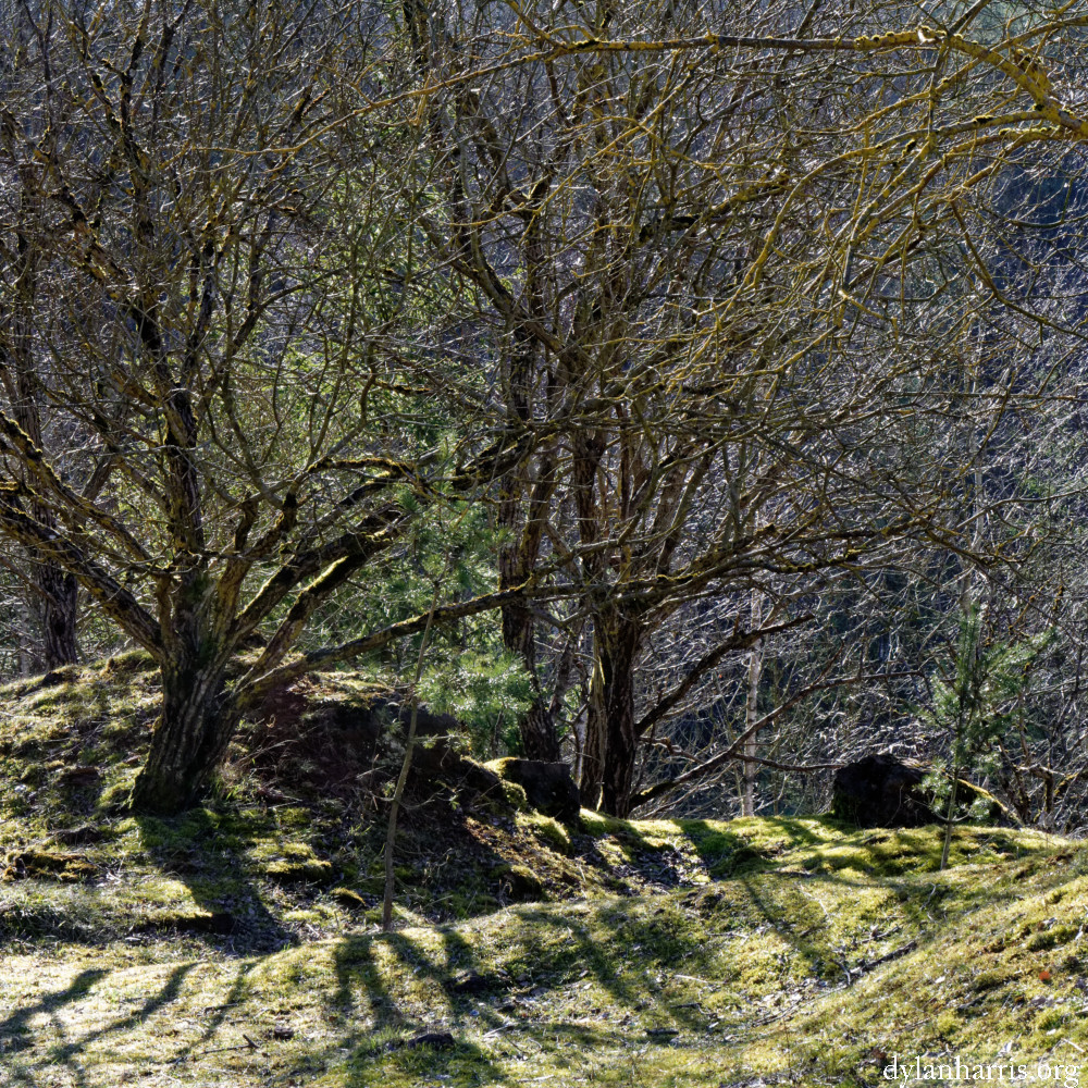 image: This is ‘
rumelange (xxxii) 6
’.