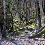 image: Image from the photoset ‘
rumelange (xxxii)
’.