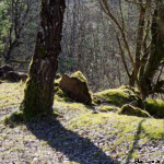 image: Image from the photoset ‘
rumelange (xxxii)
’.