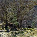 image: Image from the photoset ‘
rumelange (xxxii)
’.