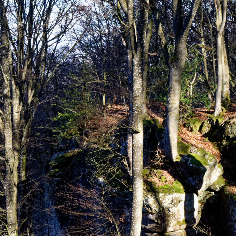 image: This is ‘
mullerthal (v) 3
’.