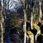 image: Image from the photoset ‘
mullerthal (v)
’.