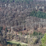 image: Image from the photoset ‘
mullerthal (v)
’.