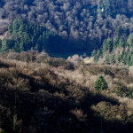 image: Image from the photoset ‘
mullerthal (v)
’.