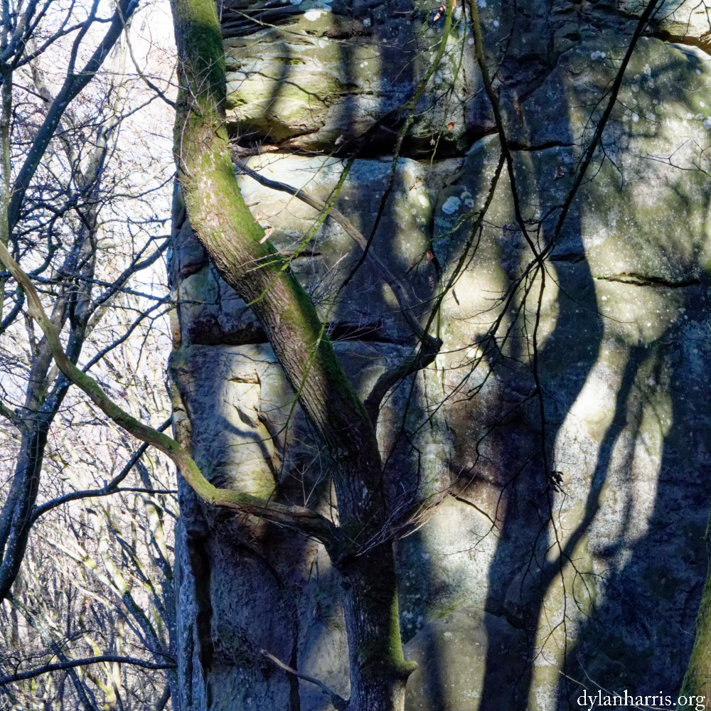 image: This is ‘
mullerthal (vi) 5
’.