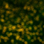 image: Image from the photoset ‘
rumelange (xxxiii)
’.