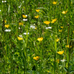 image: Image from the photoset ‘
rumelange (xxxiii)
’.