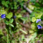 image: Image from the photoset ‘
rumelange (xxxiii)
’.