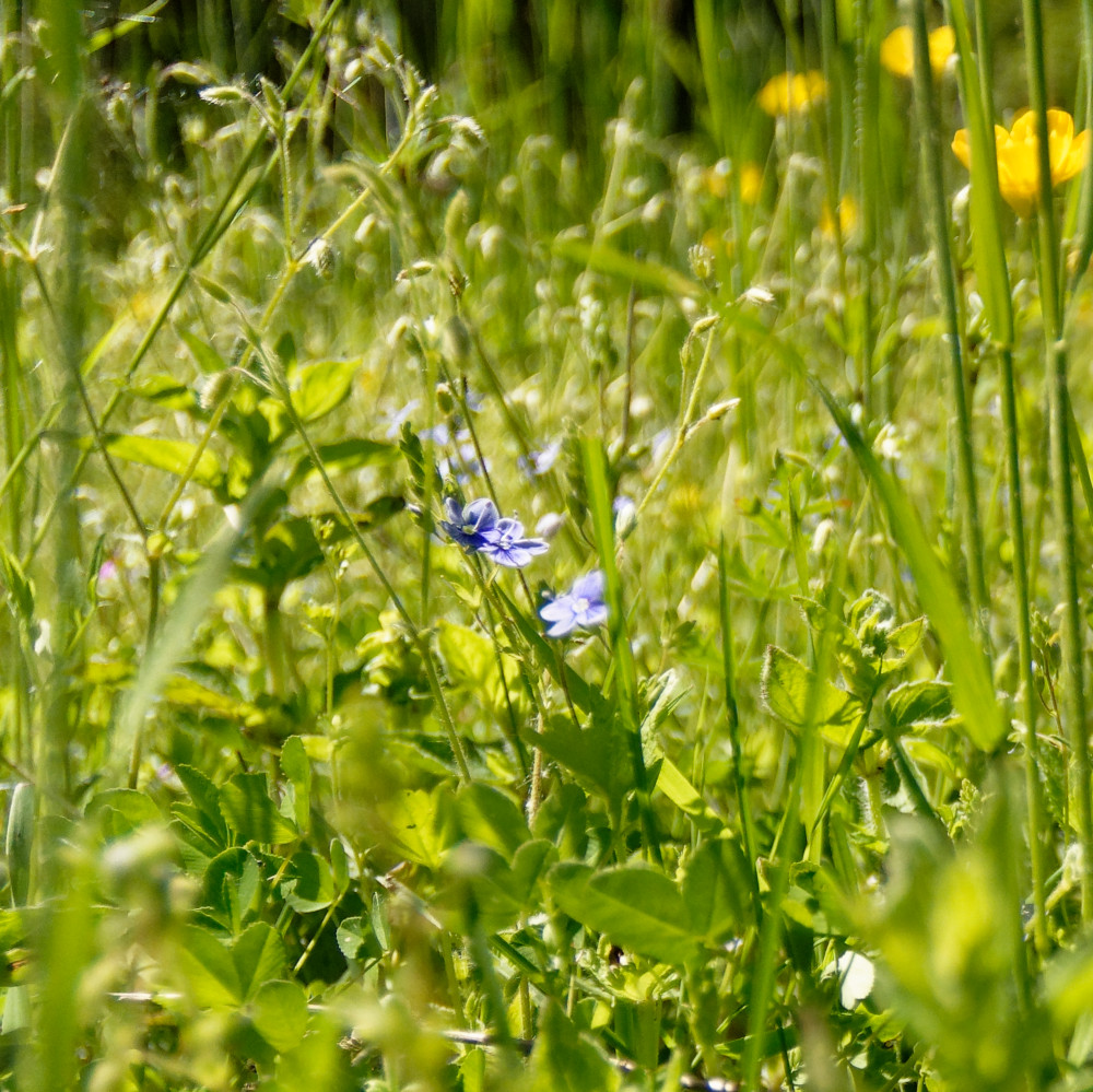 image: This is ‘
rumelange (xxxiv) 3
’.