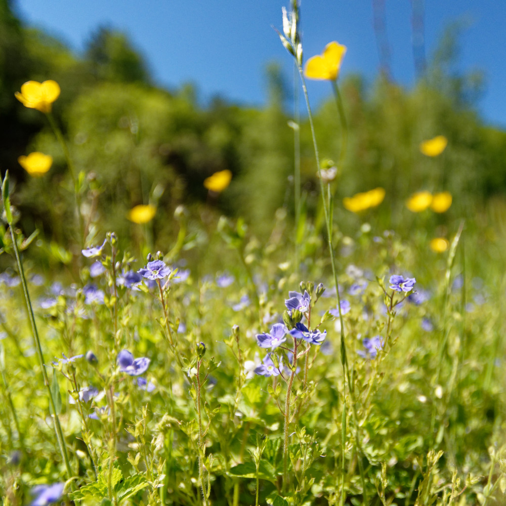 image: This is ‘
rumelange (xxxiv) 4
’.