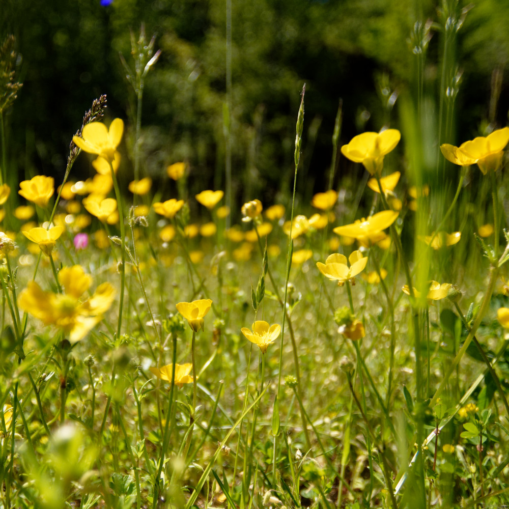 image: This is ‘
rumelange (xxxiv) 6
’.