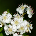 image: Image from the photoset ‘
rumelange (xxxiv)
’.