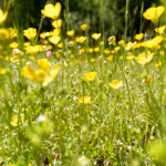 image: Image from the photoset ‘
rumelange (xxxiv)
’.