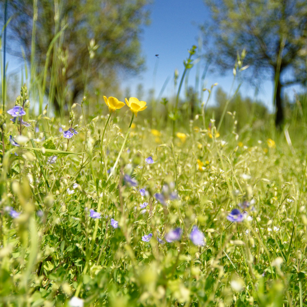 image: This is ‘
rumelange (xxxv) 4
’.