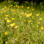 image: Image from the photoset ‘
rumelange (xxxv)
’.