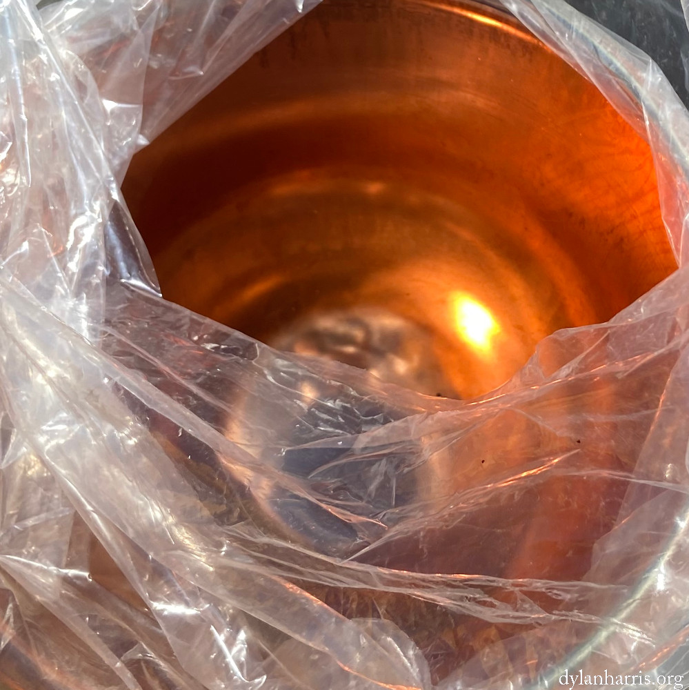 image: This is ‘
cheniàres 4
’.