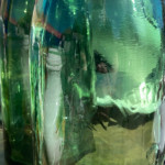 image: Image from the photoset ‘
cheniàres
’.