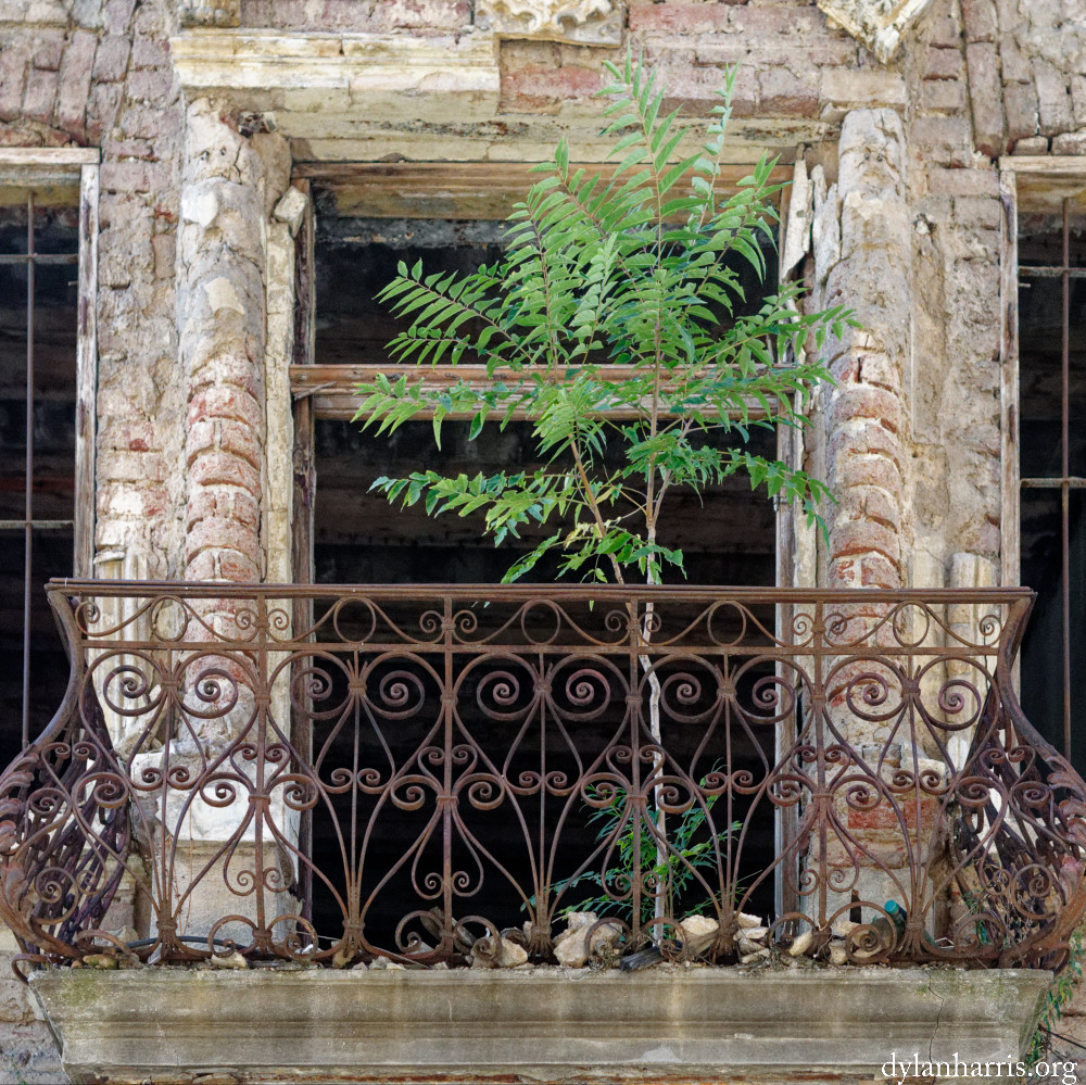 image: This is ‘
bucharest (i) 4
’.