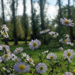 image: Image from the photoset ‘
esch/uelzecht (xxxii)
’.