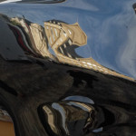 image: Image from the photoset ‘
nothing is permament (xx)
’.