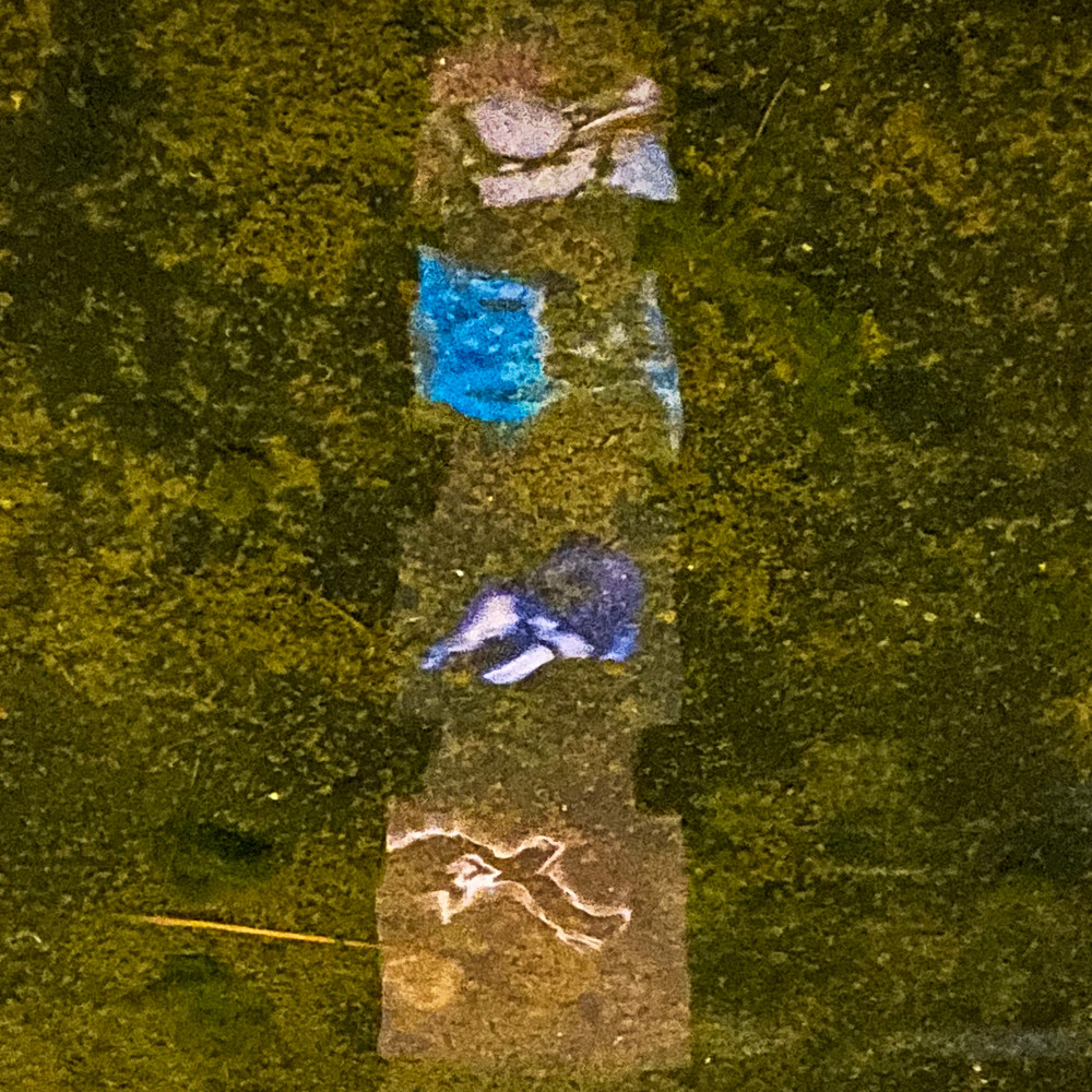 image: This is ‘
nuit de la culture 7
’.