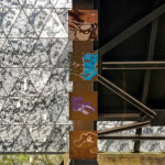 image: Image from the photoset ‘
nuit de la culture
’.